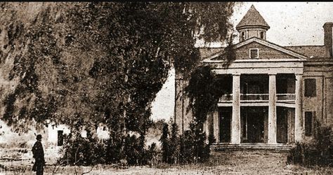 A Texas sugar plantation